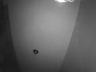 Voyeurcam-casa-salsa-bathroom-11  live sex cam