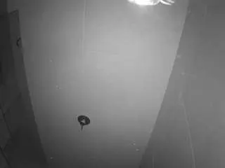 Voyeurcam-casa-salsa-bathroom-11  live sex cam
