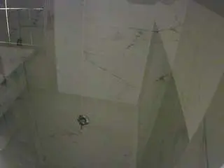 Voyeurcam-casa-salsa-bathroom-11  live sex cam