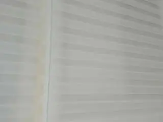 Rosse-evans-3  live sex cam