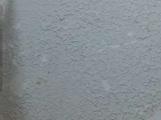 Saray-extrovert  live sex cam