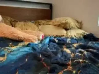 Laylared  live sex cam