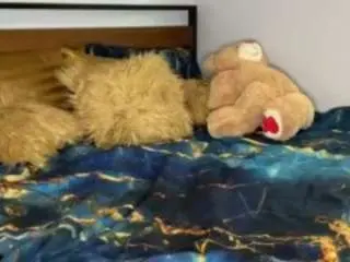 Laylared  live sex cam