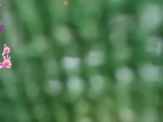 Hayamili  live sex cam