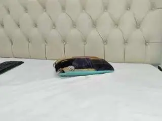 Briannacastello  live sex cam