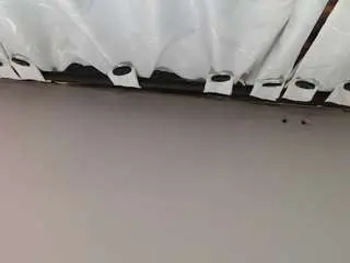 Noellehartley  live sex cam