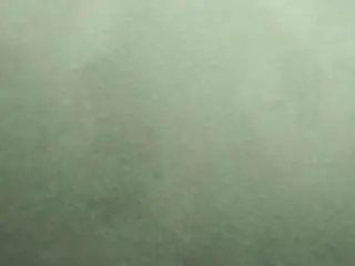 Normahargers  live sex cam