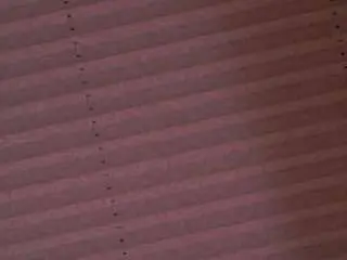 Normahargers  live sex cam