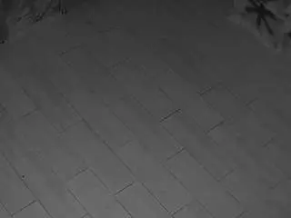 Voyeurcam-casa-salsa-panoramic  live sex cam
