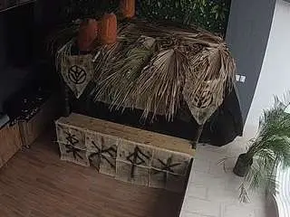 Voyeurcam-casa-salsa-panoramic  live sex cam