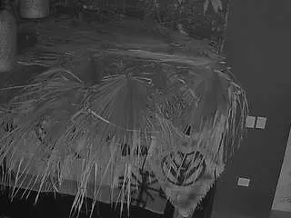 Voyeurcam-casa-salsa-panoramic  live sex cam