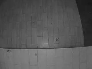 Voyeurcam-casa-salsa-panoramic  live sex cam