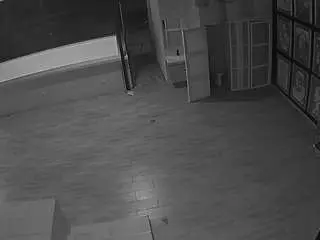 Voyeurcam-casa-salsa-panoramic  live sex cam