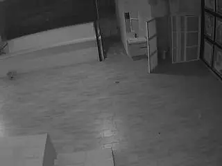 Voyeurcam-casa-salsa-panoramic  live sex cam