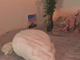 Lillucooper  live sex cam