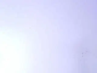 Nico-ferrer  live sex cam