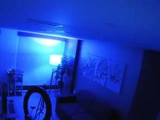 Voyeurcam-casa-salsa-bedroom-9  live sex cam