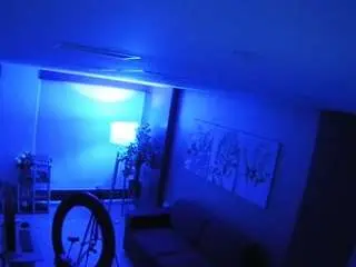 Voyeurcam-casa-salsa-bedroom-9  live sex cam