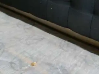 Ebonyblazexxx  live sex cam