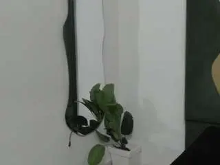 Milapetiteasm  live sex cam