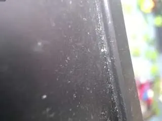 Nicoleink01  live sex cam