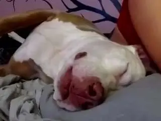 1800fu  live sex cam