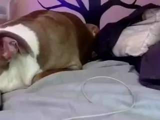 1800fu  live sex cam