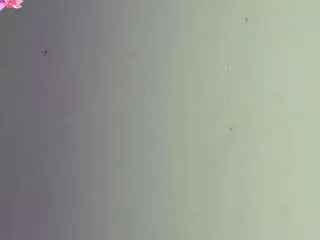 Emmie-bunny  live sex cam