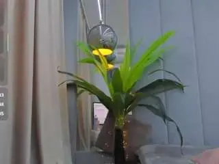 Jessy-jo  live sex cam