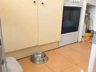 Naughtymistress  live sex cam