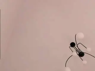 Adelleibey  live sex cam