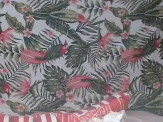 Smallpamela3679  live sex cam