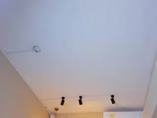 Nahimithompson  live sex cam