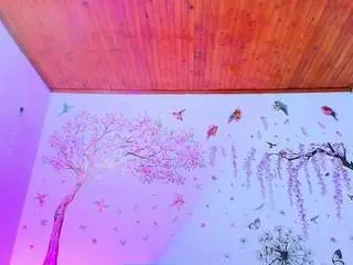 Sofiiadiiaz  live sex cam