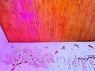 Sofiiadiiaz  live sex cam