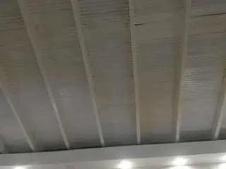 Aishathornee  live sex cam