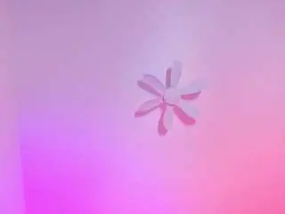 Paulineefox  live sex cam