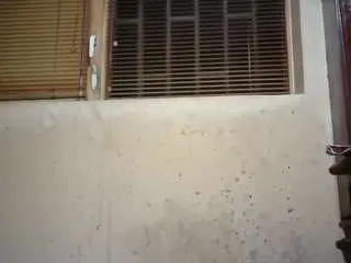 Sexygeny  live sex cam