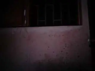 Sexygeny  live sex cam