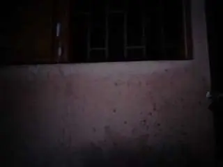 Sexygeny  live sex cam