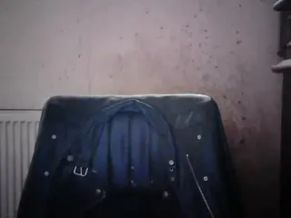 Sexygeny  live sex cam