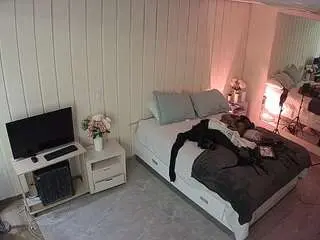 Voyeurcam-casa-salsa-bedroom-5  live sex cam