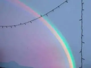 Arielceleste03  live sex cam