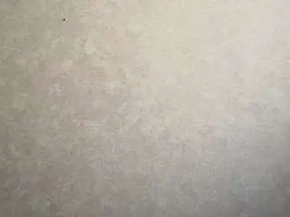 Laceytobeck  live sex cam