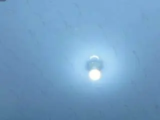 Beautifulkattia  live sex cam