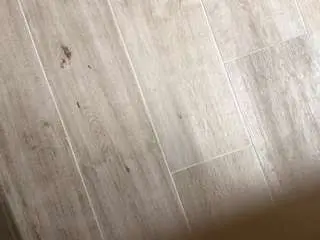 Giseleskalsky  live sex cam