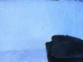 Gorgeous-luna  live sex cam