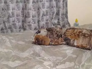 Dangercurvy  live sex cam