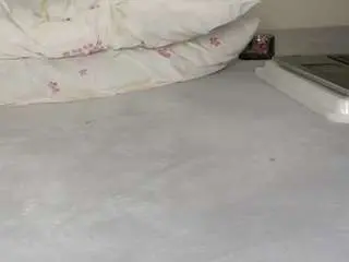 Nippyprincesse  live sex cam