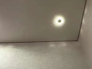Almedapotthast  live sex cam